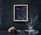 Cadre de fleurs pressées 26,5x31,5 cm - Coquelicots