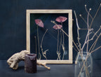 Cadre de fleurs pressées 26,5x31,5 cm - Coquelicots