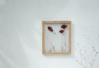 Cadre de fleurs pressées 26,5x31,5 cm - Coquelicots