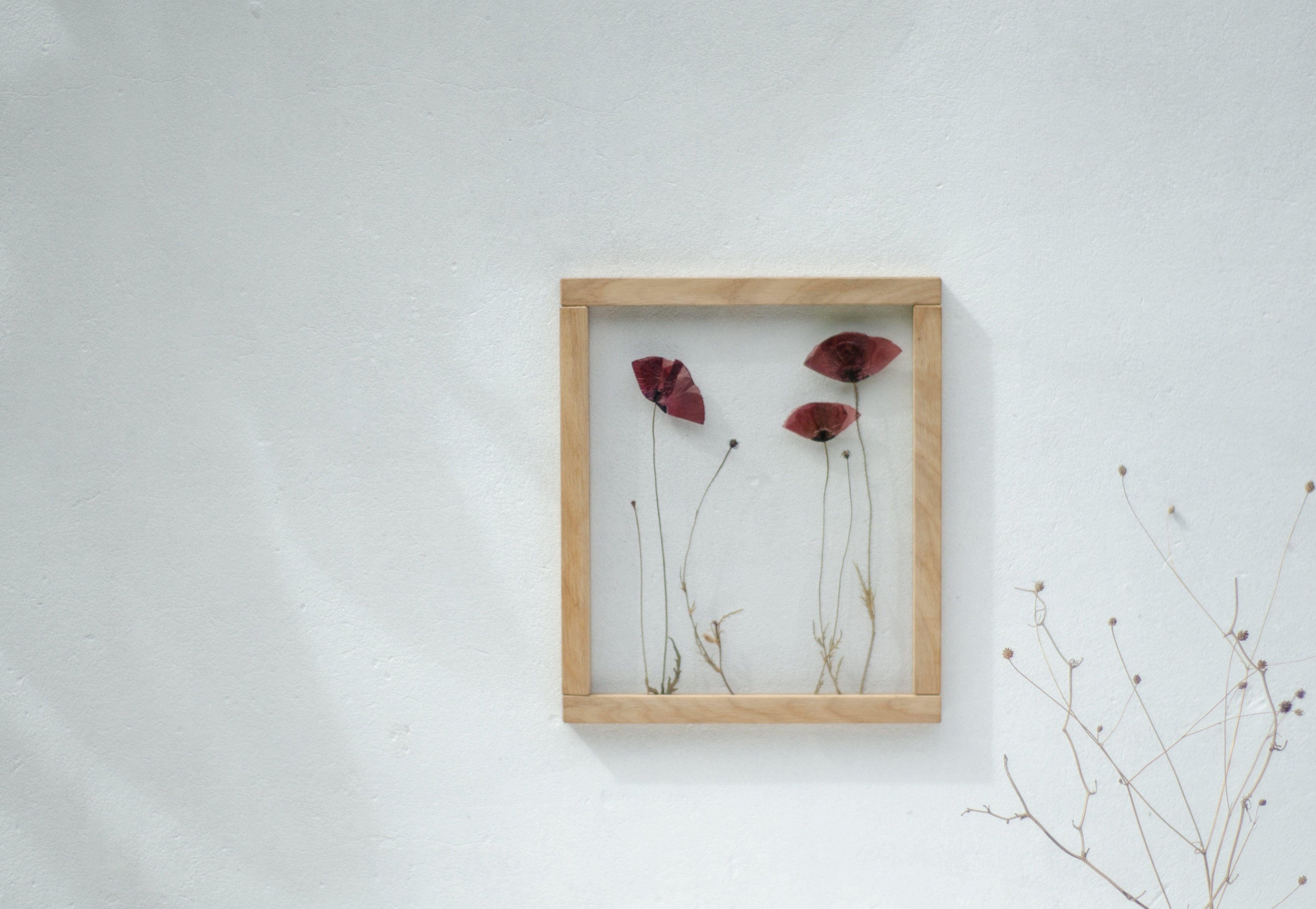 Cadre de fleurs pressées 26,5x31,5 cm - Coquelicots