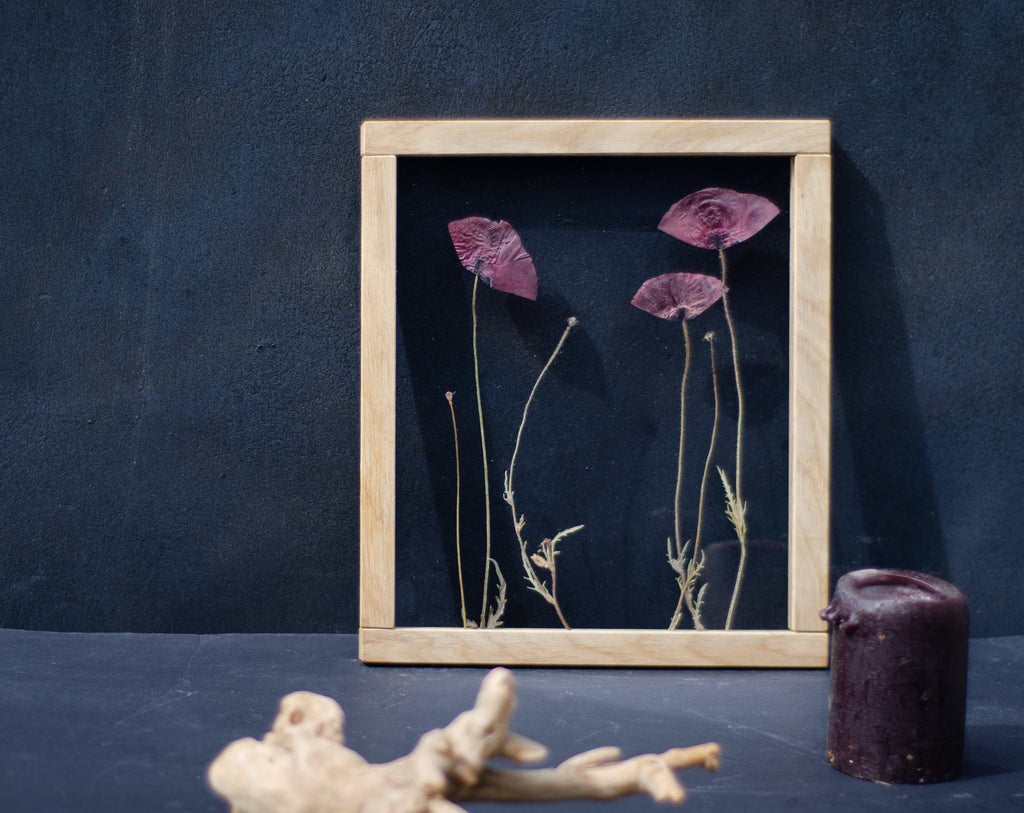 Cadre de fleurs pressées 26,5x31,5 cm - Coquelicots