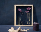 Cadre de fleurs pressées 26,5x31,5 cm - Coquelicots